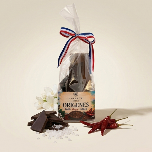 Orígenes · Chocolate Belga con Maqui, Merkén y Sal de Mar